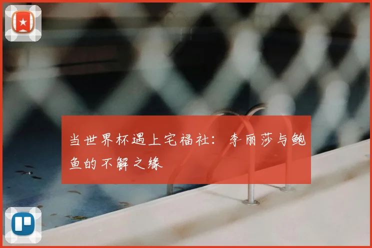当世界杯遇上宅福社：李丽莎与鲍鱼的不解之缘