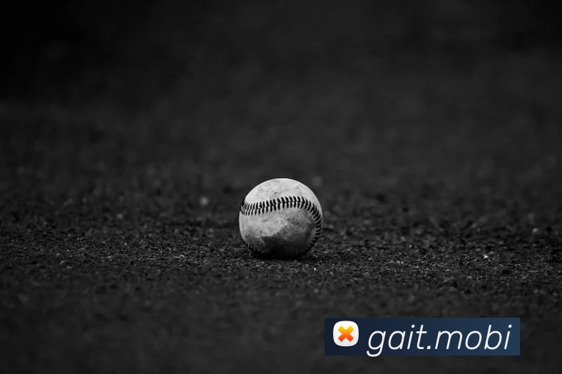 必动体育官网APP 封面图